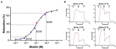 Roles of Endothelial Motilin Receptor and Its Signal Transduction Pathway in Motilin-Induced Left Gastric Artery Relaxation in Dogs